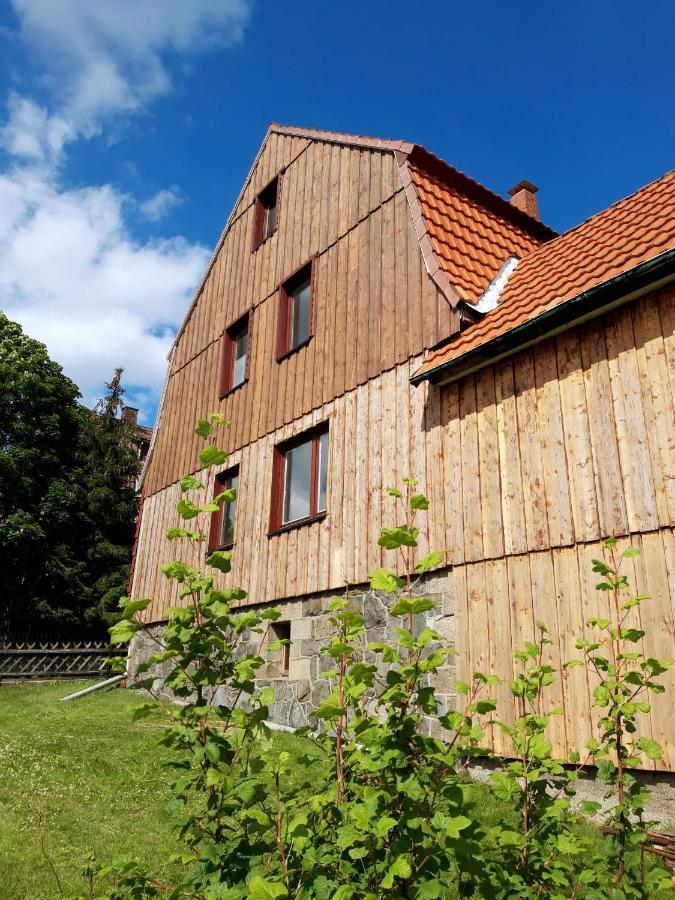 Ferienhaus Im Bergdorf Hohegeiß Eksteriør billede