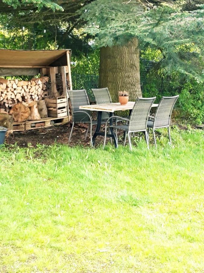 Ferienhaus Im Bergdorf Hohegeiß Eksteriør billede